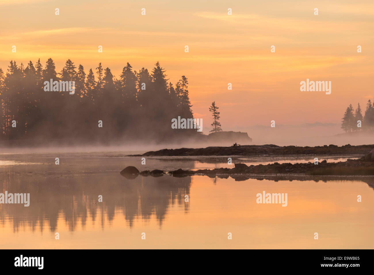 Lever du soleil sur la péninsule de Schoodic dans le Maine au cours du mois d'octobre. Banque D'Images