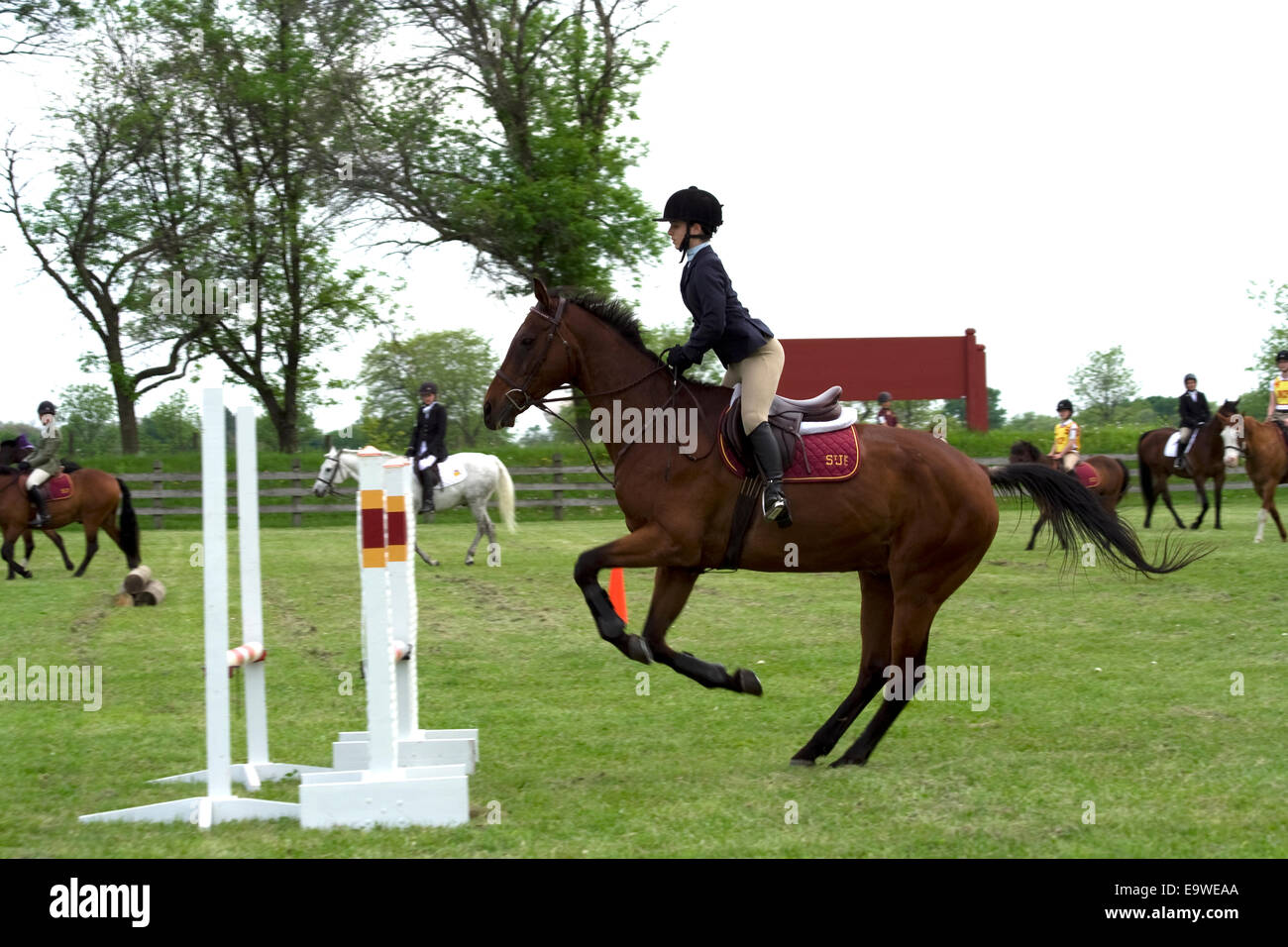 La ferme de St James Poney Club des Sports équestres - Famille Journée de terrain Banque D'Images