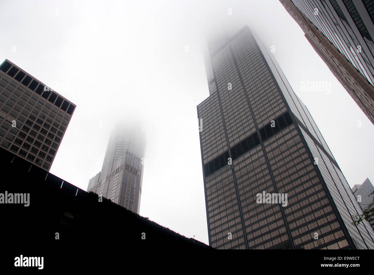 La Willis Tower. Les bâtiments de Chicago. Architecture.(La Sears Tower). Banque D'Images