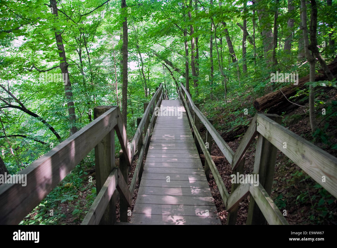 Starved Rock State Park. Canyon Bridge Banque D'Images
