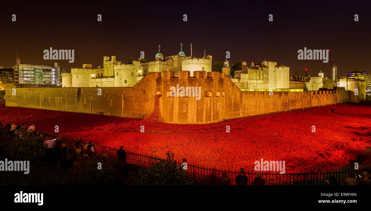 Tour de Londres les coquelicots dans la nuit Banque D'Images