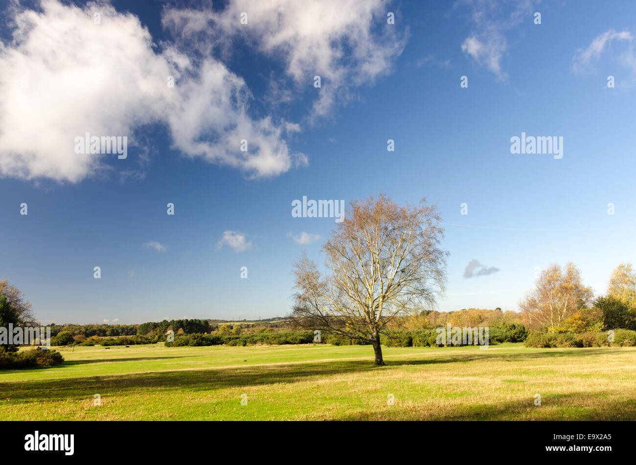 Avis de Sutton Park près de Birmingham sur une journée ensoleillée d'automne Banque D'Images