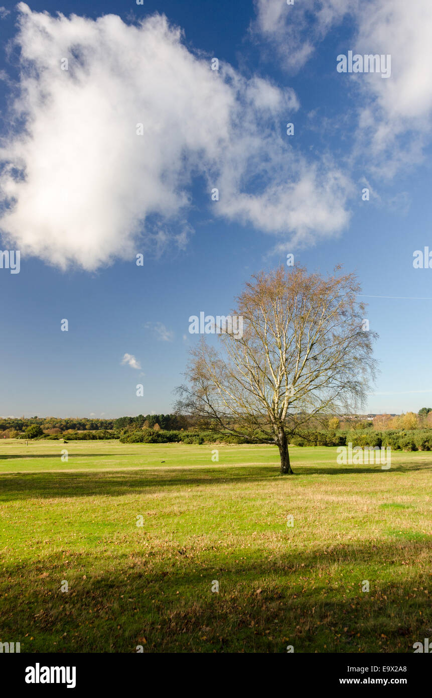 Avis de Sutton Park près de Birmingham sur une journée ensoleillée d'automne Banque D'Images