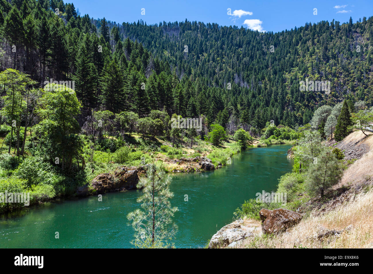 Dans la rivière Trinity Shasta-Trinity National Forest, Californie du Nord, USA Banque D'Images