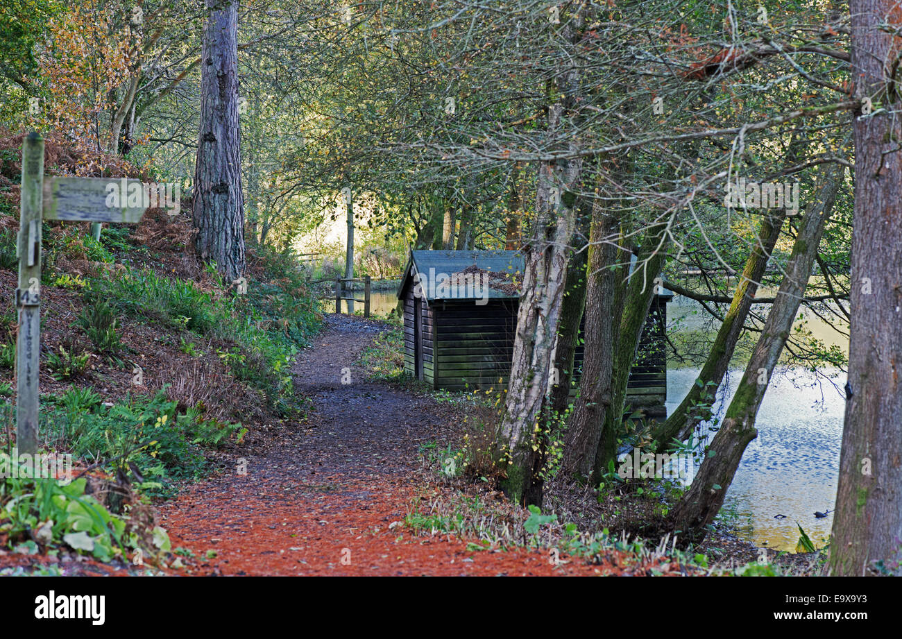 Une maison de bateau sur le lac à Wakehurst Place au cours de l'automne,Ardingly, West Sussex, Angleterre, Royaume-Uni. Banque D'Images