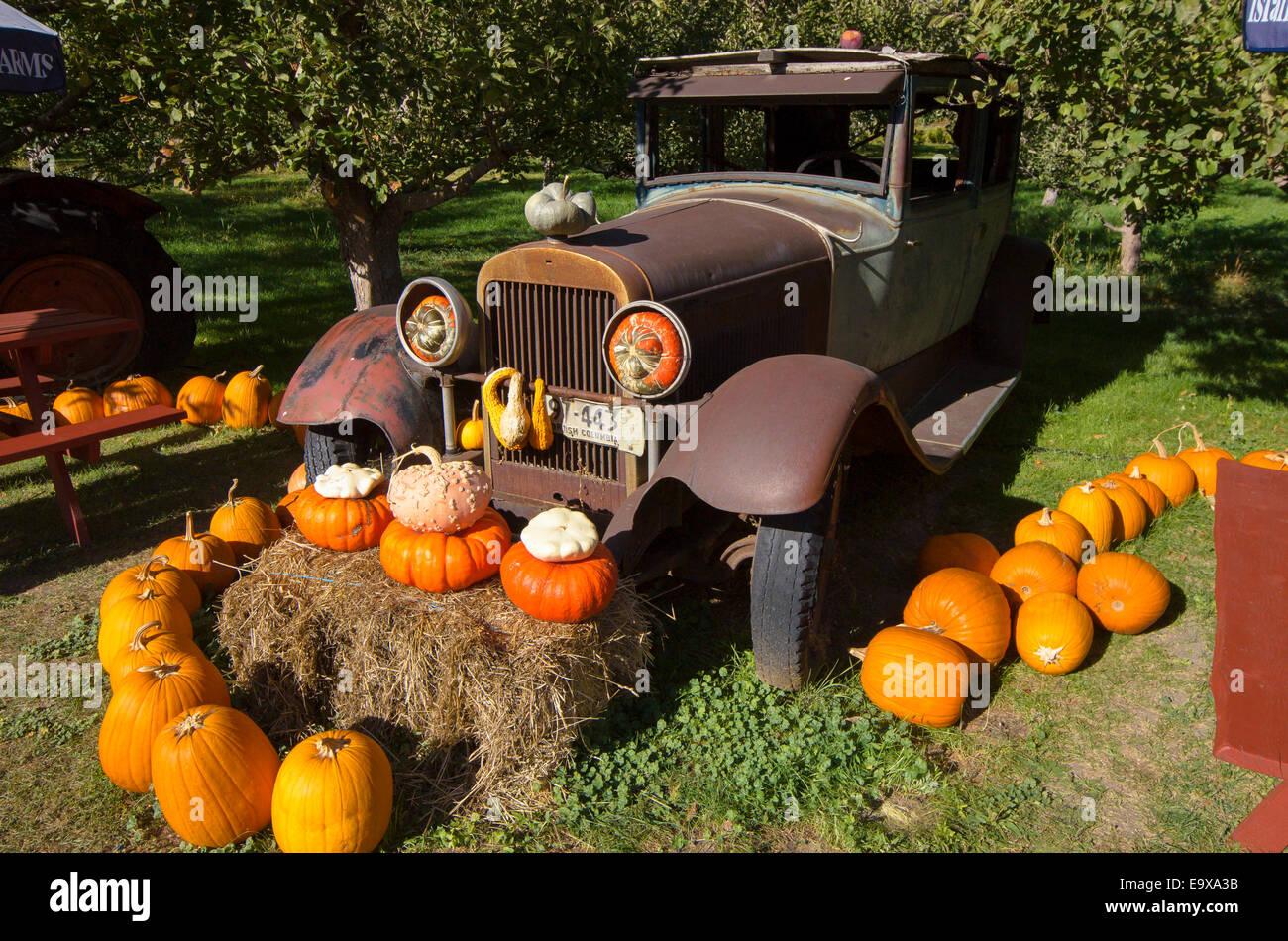 Vieille bagnole rouillée et affichage de citrouille, Parson's Stand de fruits, Keremeos, région de Similkameen, British Columbia, Canada Banque D'Images Vieille bagnole rouillée et affichage de citrouille, Parson's Stand de fruits, Keremeos, région de Similkameen, British Columbia, Canada Banque D'Images