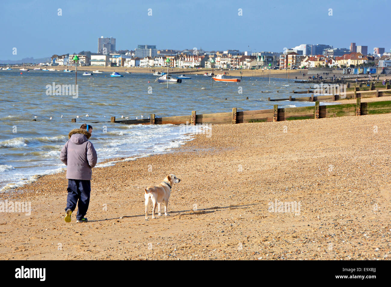 Homme marchant chien en hiver froid février jour à côté de l'estuaire de la Tamise sur la plage de Shoeburyness brise-lames groyne & Southend sur Sea Skyline Essex Angleterre Royaume-Uni Banque D'Images