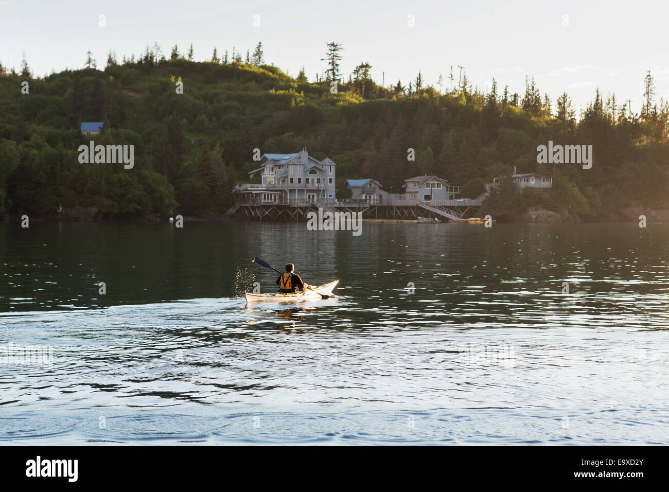 Kayakiste de mer au coucher du soleil de la pagaie dans l'anse de la baie Kachemak, flétan, Southcentral Alaska. Banque D'Images