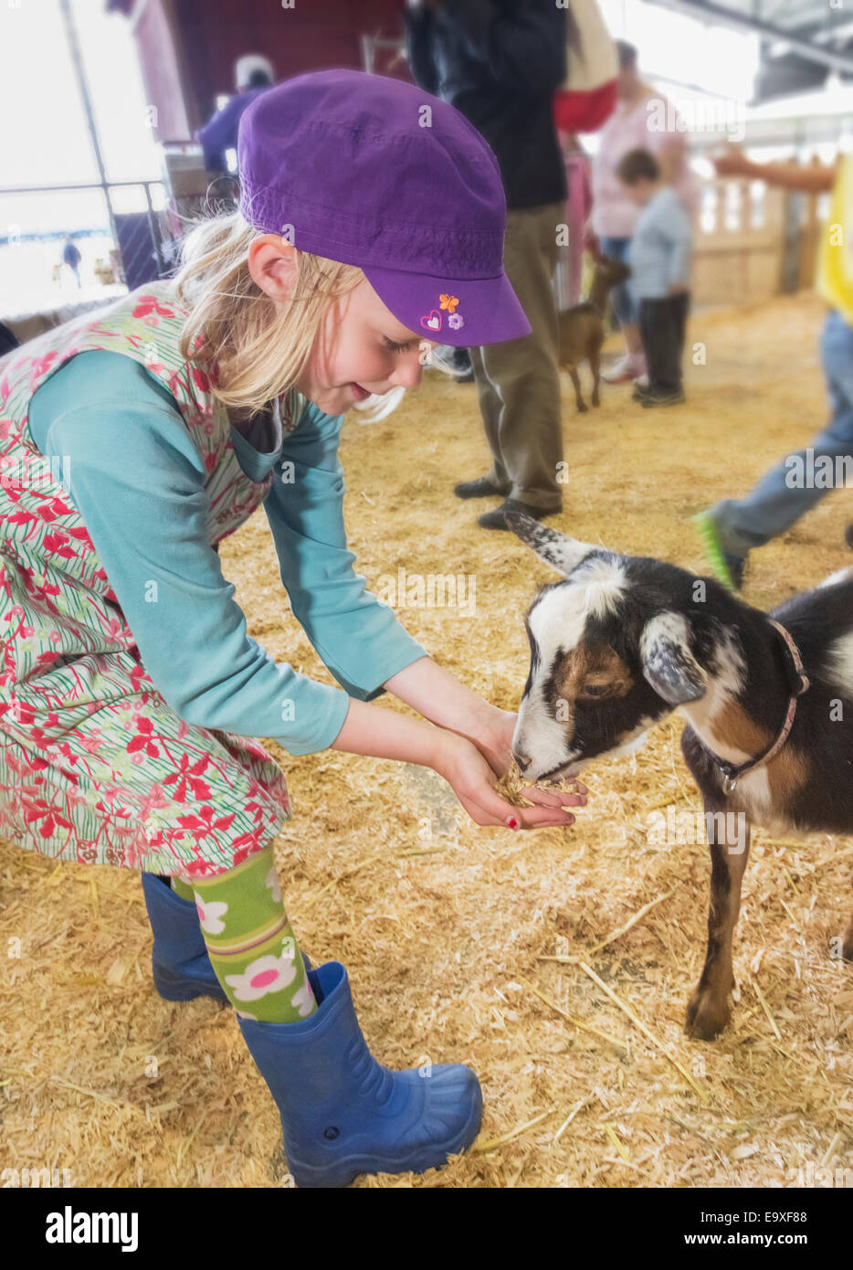 Jeune fille au chèvre au zoo pour enfants à la foire de l'état de l'Alaska, Palmer, Southcentral Alaska, USA. Banque D'Images