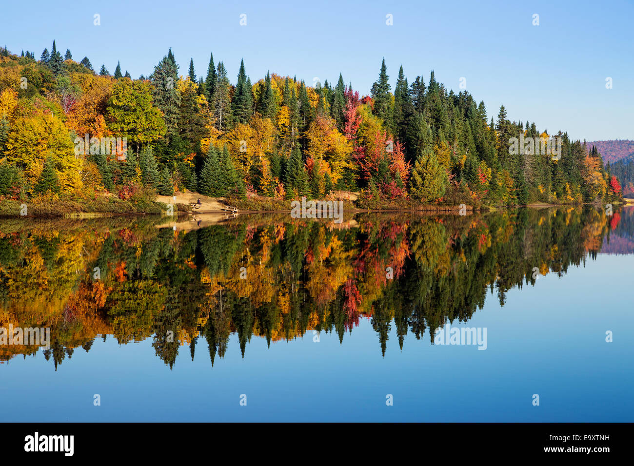 Coloré, spectaculaire paysage d'automne dans le parc national du Mont-Tremblant-Canada. Banque D'Images