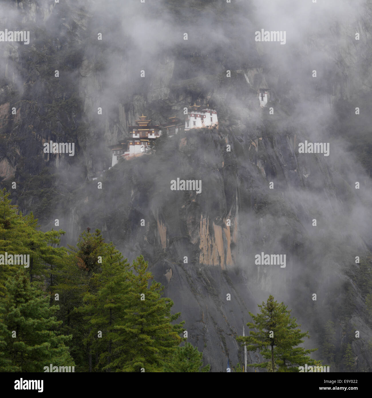 Le monastère de Taktsang, la vallée de Paro, Bhoutan, district de Paro Banque D'Images