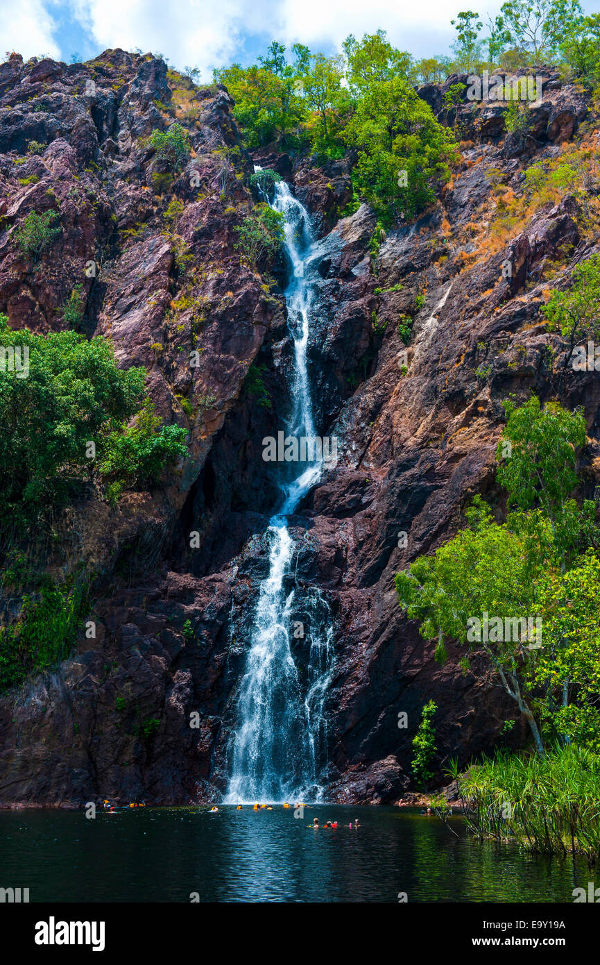 Cascade dans le parc national de Litchfield, Territoires du Nord, Australie Banque D'Images
