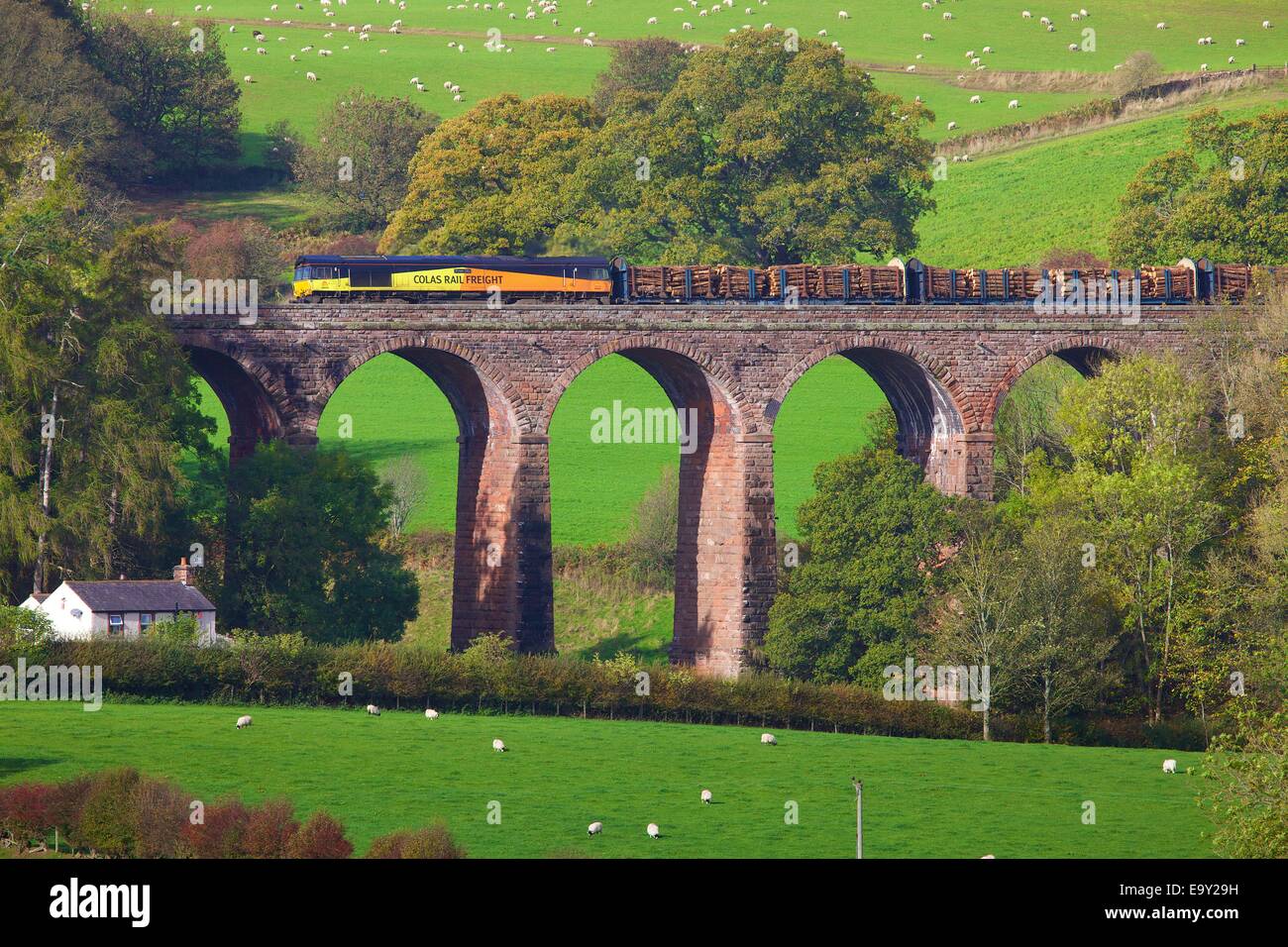 Colas Rail Freight train sur viaduc Beck à sec, Armathwaite, Eden Valley, Cumbria, England, UK. Banque D'Images