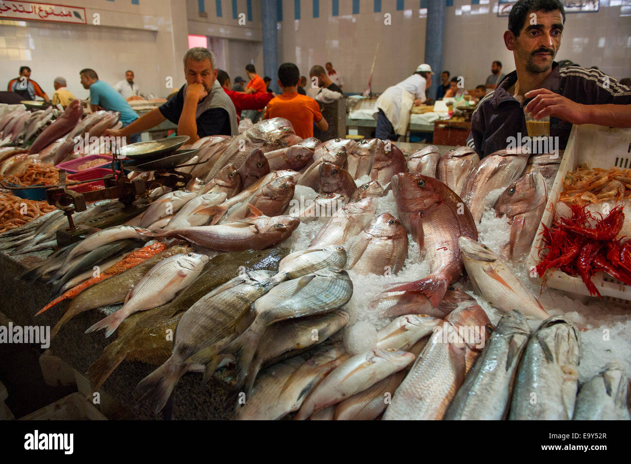 Poissonnier poissons maroc afrique du nord, Kasbah Banque D'Images
