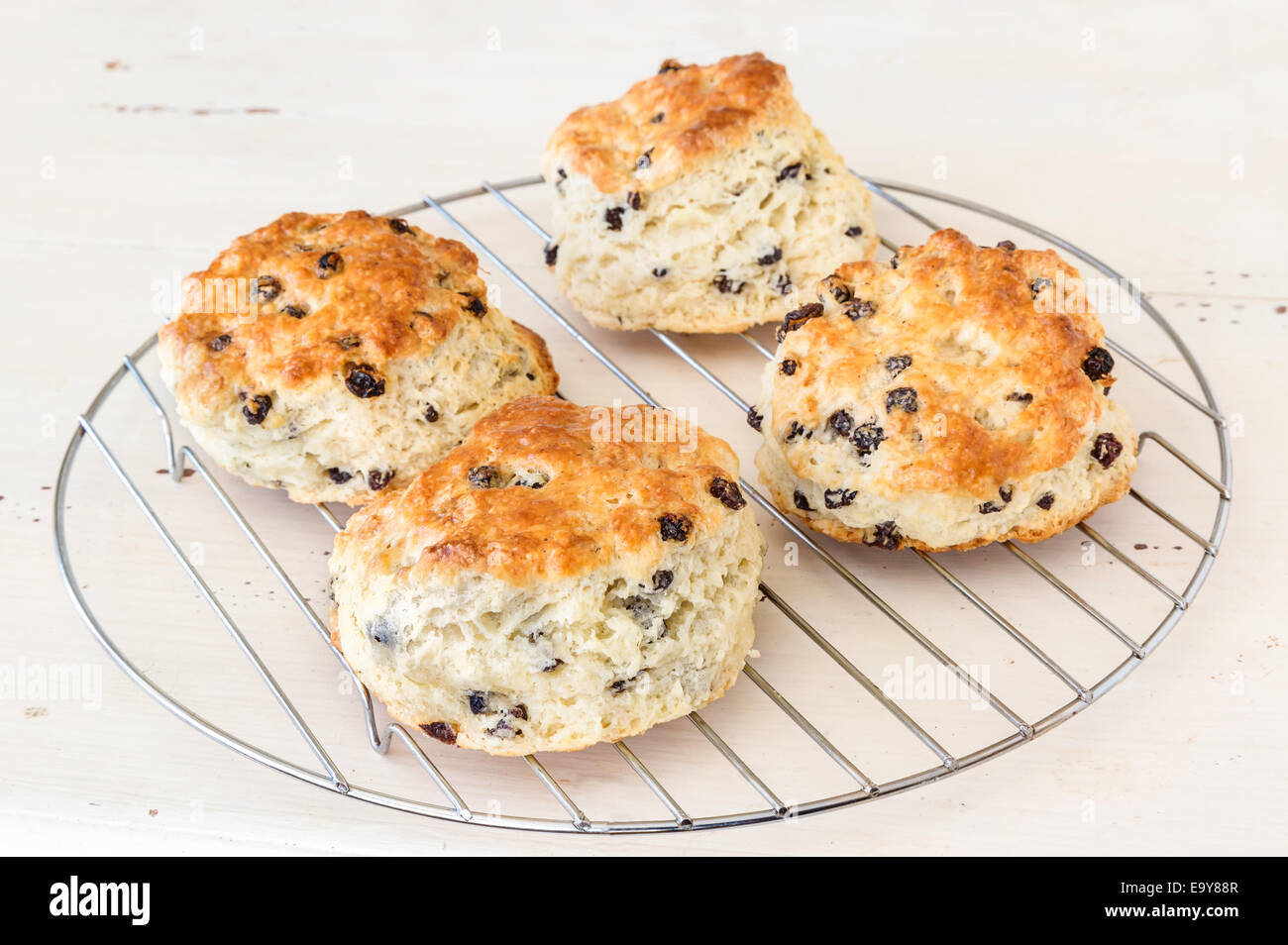 Des biscuits fraîchement cuits au four avec des raisins sur une grille de refroidissement. Banque D'Images