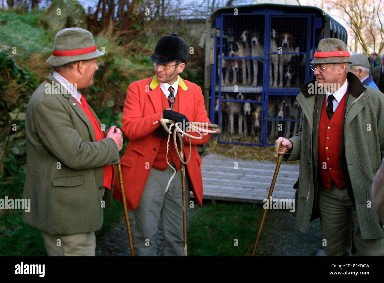 Barry Todhunter (centre), de Huntsman le Blencathra pack, qui chassait pour le renard en Cumbria en utilisant tomba hounds. Banque D'Images