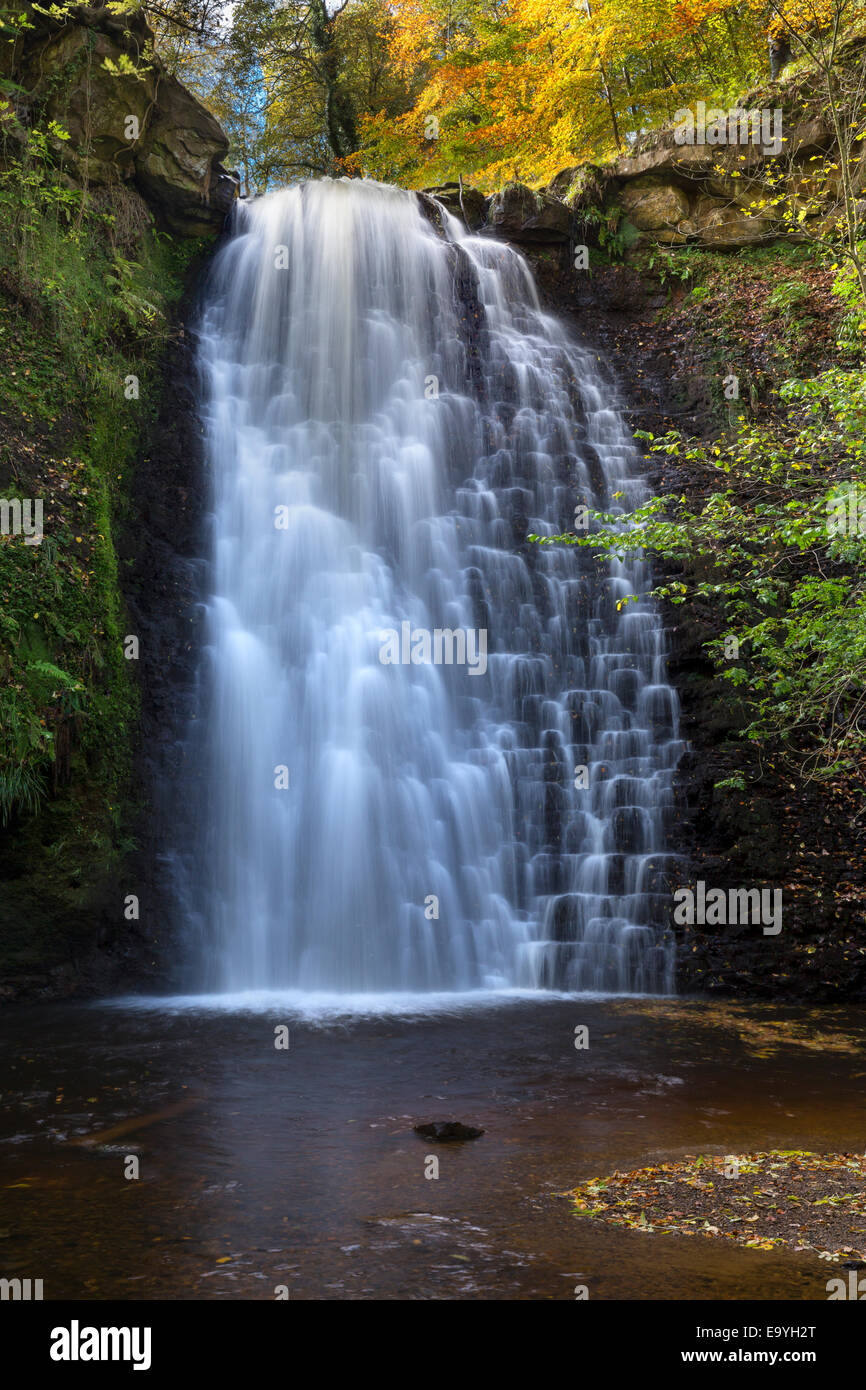 Foss chute Cascade, Sneaton Forest, North Yorkshire, Angleterre Banque D'Images