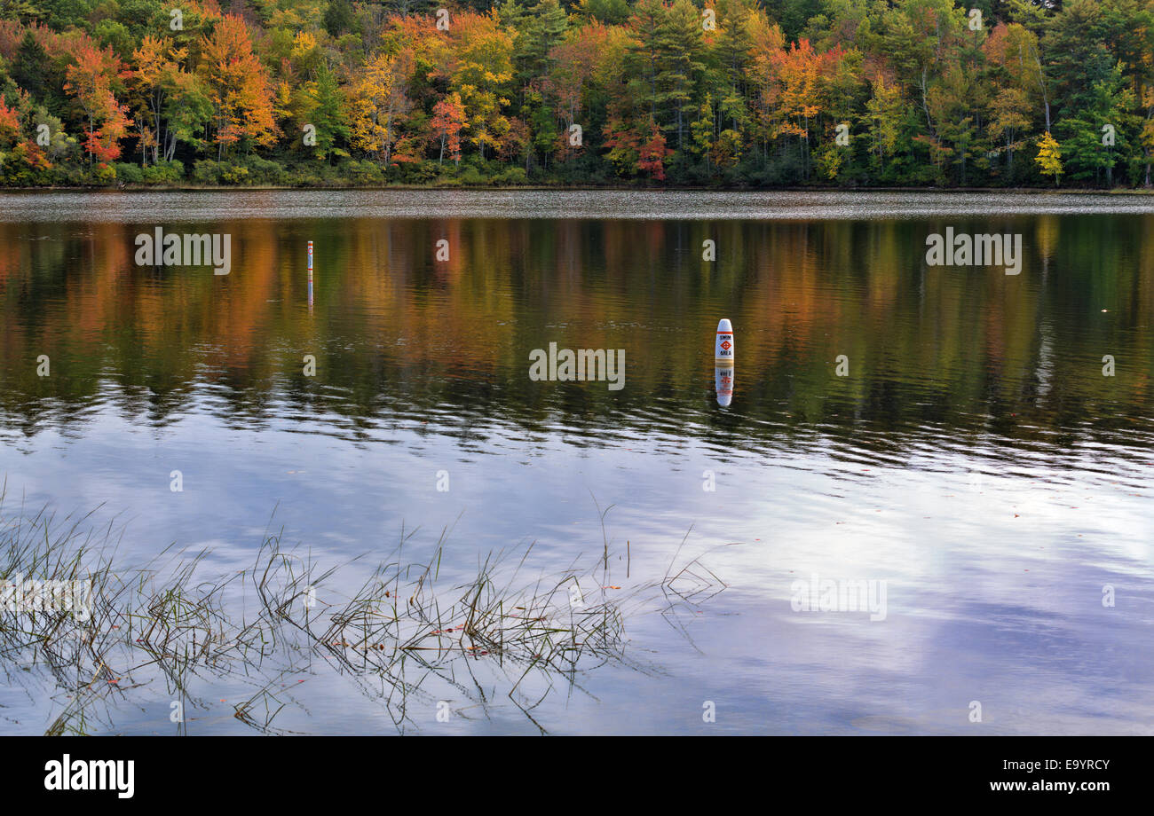 Vue de la zone de baignade à l'étang dans Norton, Lincolnville Maine avec la fin de l'automne feuillage dans l'arrière-plan. Banque D'Images