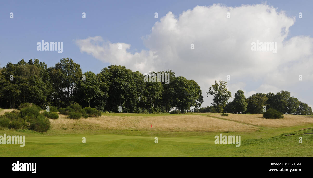 Vue de la 6e à partir de l'Allée Verte Wrotham Heath Golf Club Sevenoaks Kent England Banque D'Images