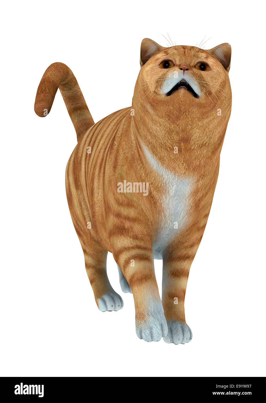 Numérique 3D render of a standing cat rouge isolé sur fond blanc Banque D'Images