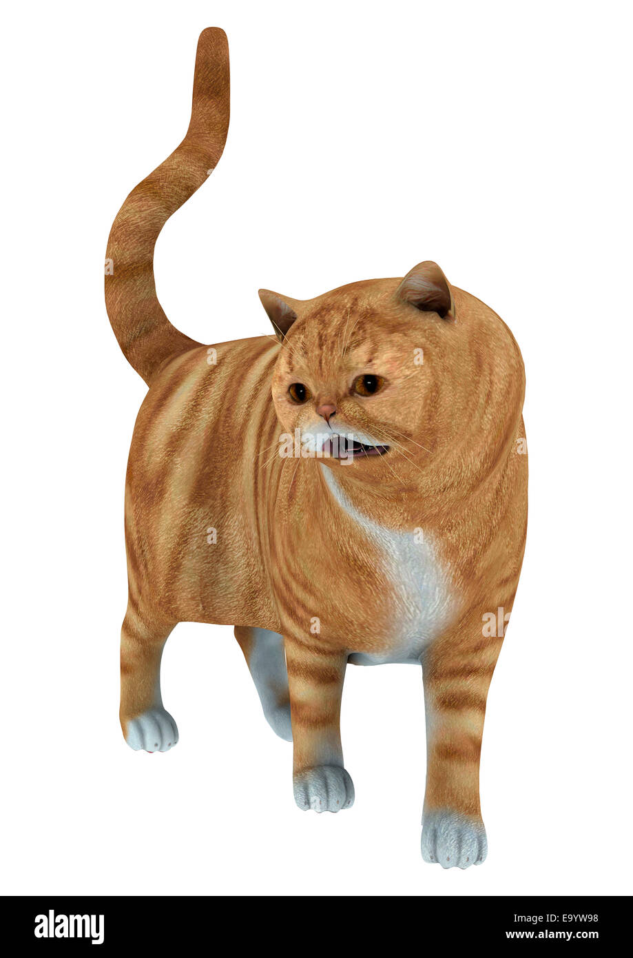 Numérique 3D render of a walking chat tigré rouge isolé sur fond blanc Banque D'Images