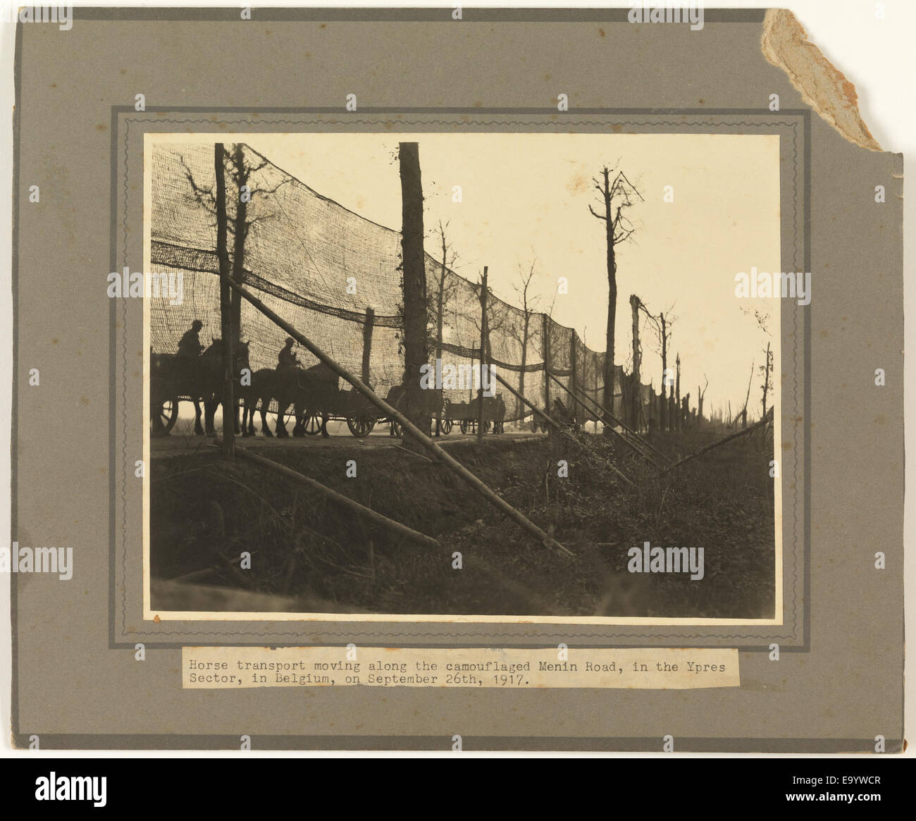 Déménagement transport de chevaux le long de la route de Menin, Ypres camouflé Horse transport déménagement le long de la route de Menin, Ypres camouflé 14647275547 o Banque D'Images