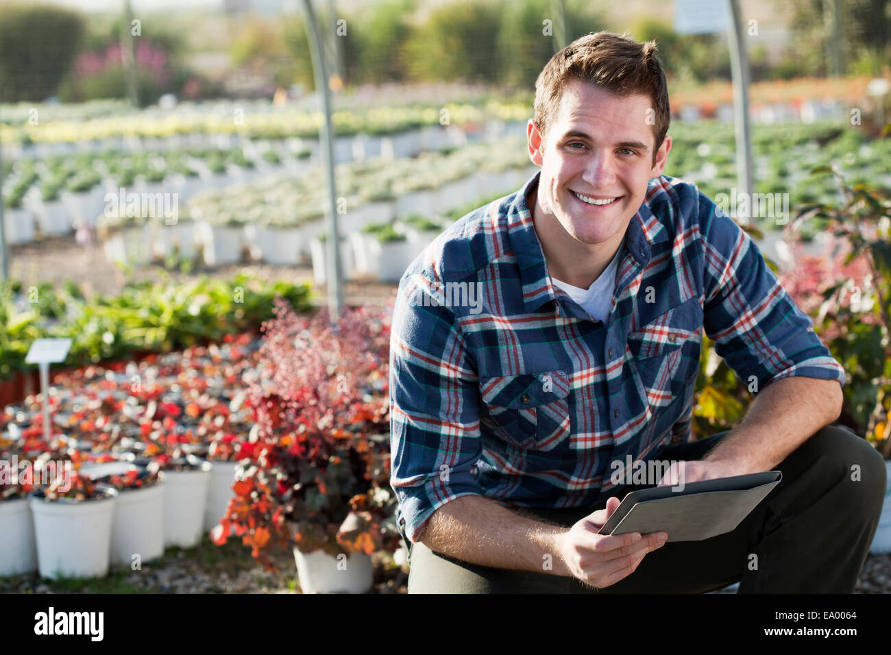 Portrait of young male worker using digital tablet in plant nursery polytunnel Banque D'Images