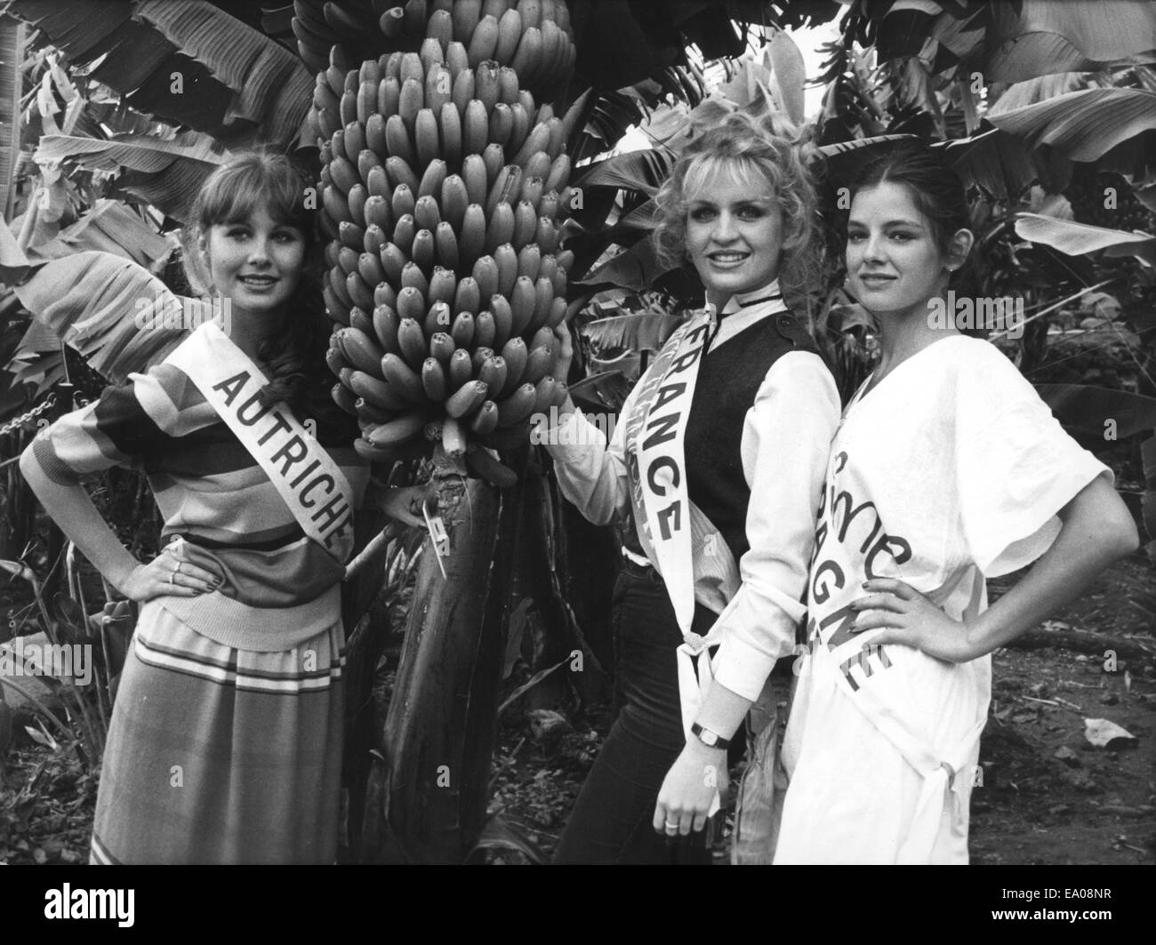Tenerife, Puerto de la Cruz, Espagne. 28 Février, 1980. Blonde SYLVIE PARERA, Miss France 1979, vient d'être élue Miss élégance 1979 Tenerife et est maintenant un des candidats pour Miss Europe. Sylvie Parera, Miss Élégance, entourée de ses princesses, Miss Autriche, KARIN ZORN (L) et Miss Espagne LOLA FORNER, dans une bananeraie à Puerto Cruz de Tenerife. © Keystone Photos/ZUMA/ZUMAPRESS.com/Alamy fil Live News Banque D'Images