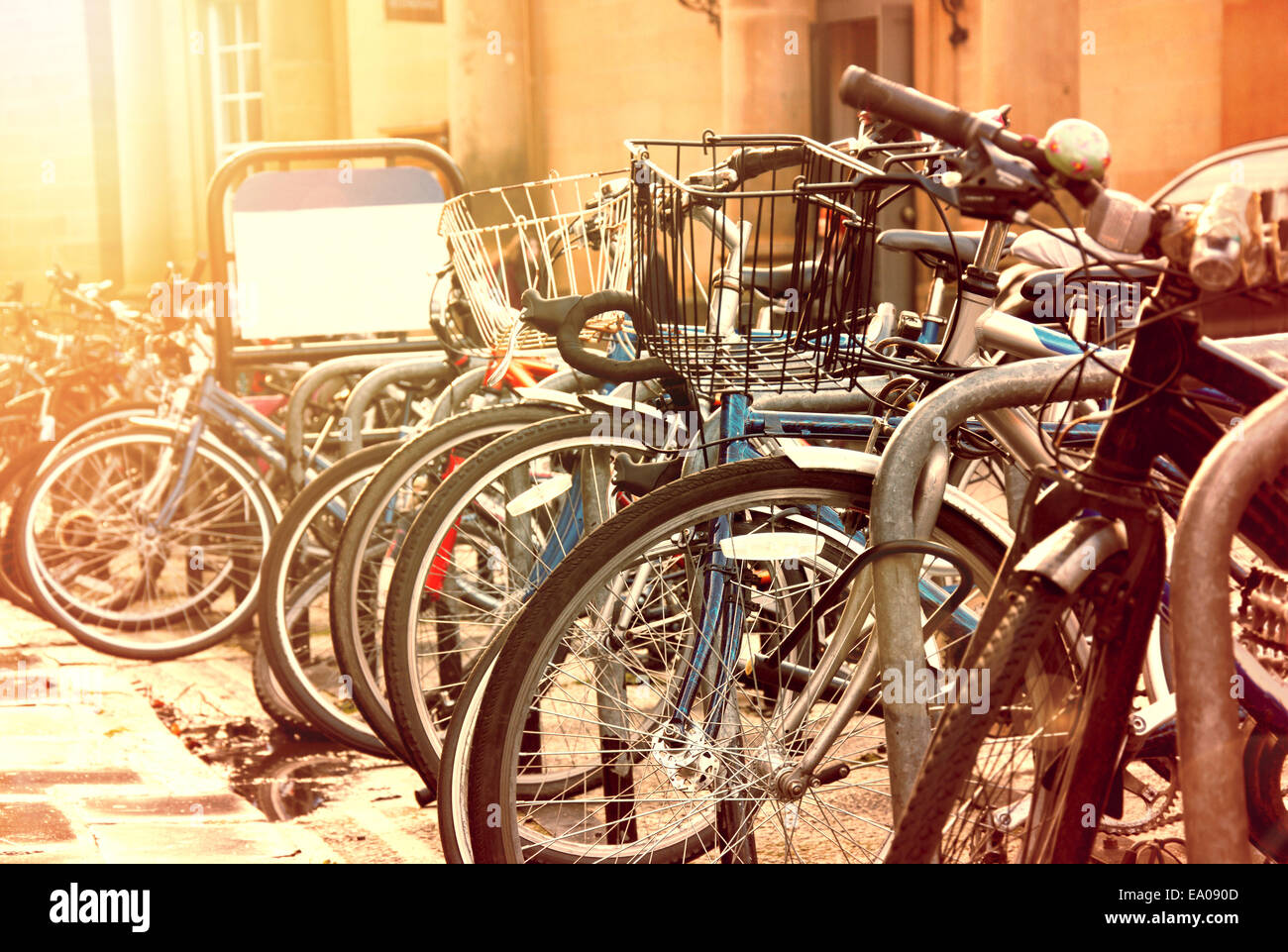 Rue du soleil avec beaucoup de vélos. Banque D'Images