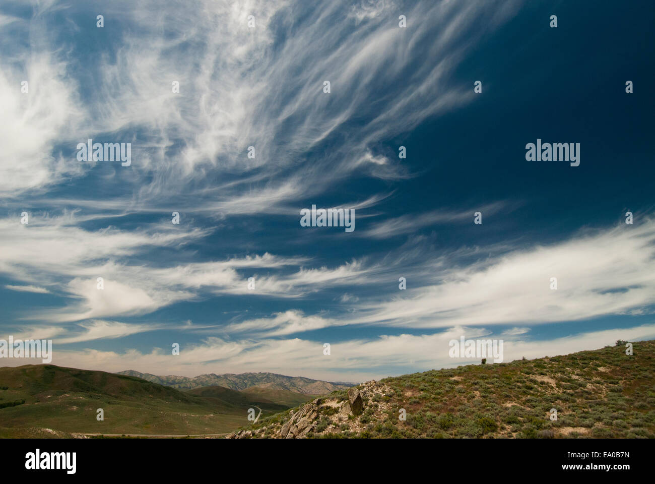 Des nuages Cirrus spissatus, SW Florida Banque D'Images