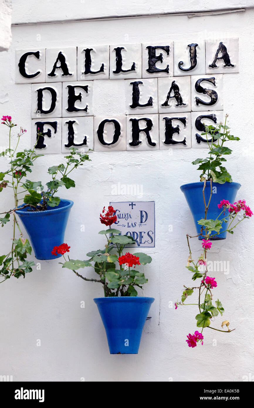 Plaque de rue et des fleurs, calleja de las Flores, Cordoue, Andalousie, Espagne Banque D'Images