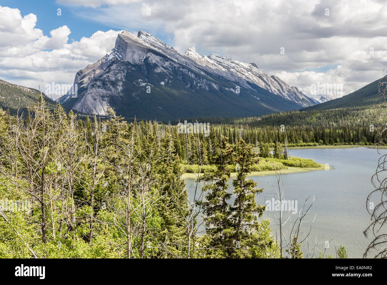 Lac Vermillion, Banff, Banff National Park, Rocheuses, en Alberta, au Canada, en Amérique du Nord. Banque D'Images