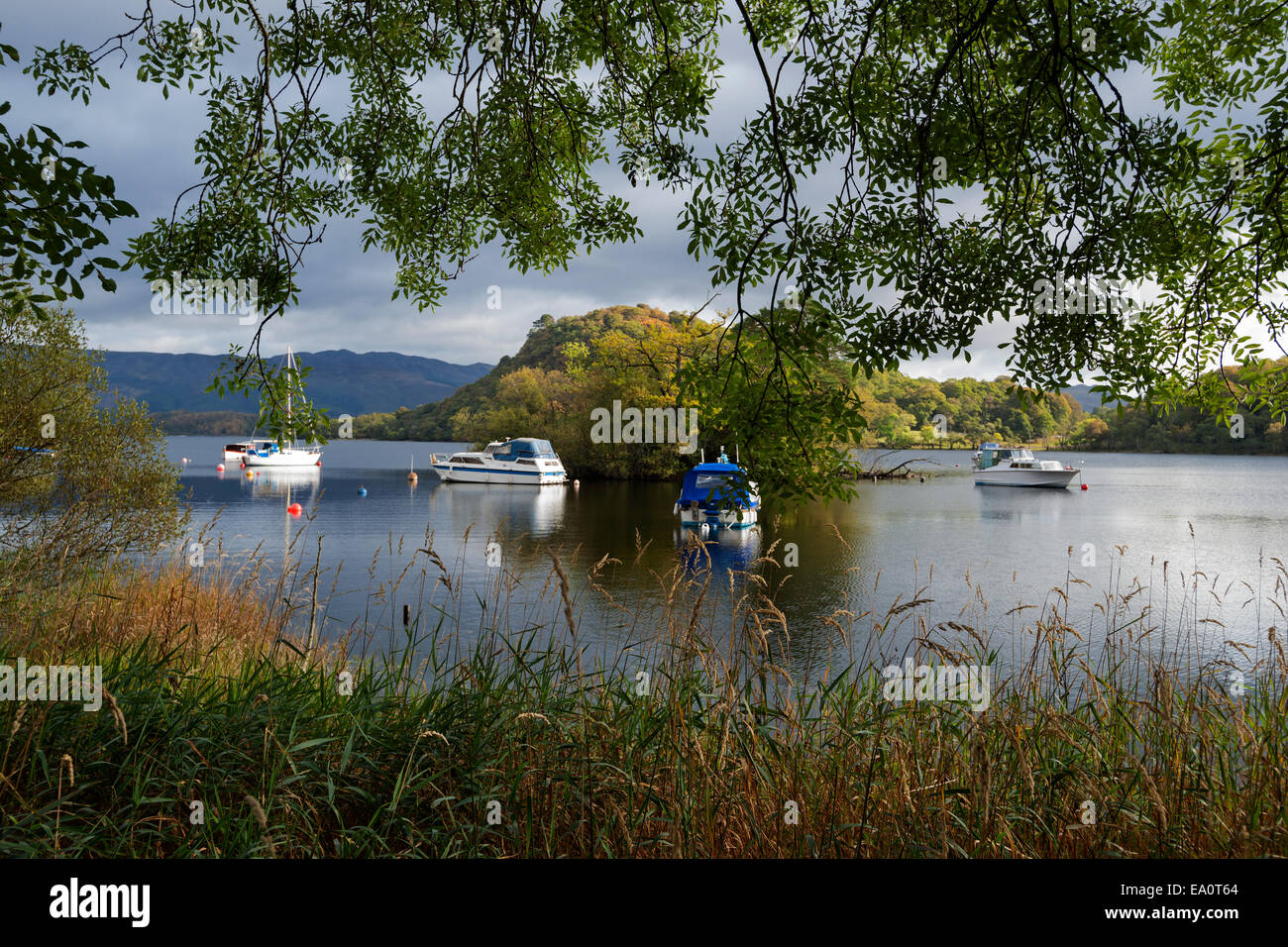 Loch Lomond Trossachs ; ; ; ; ; parc national ; Aldochlay Inchtavannach ; l'île ; bateaux ; l'Ecosse, Royaume-Uni Banque D'Images