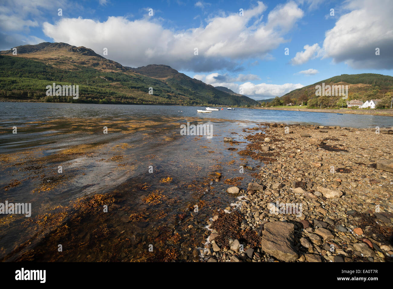 Le Loch Long ; ; ; Arrochar village ; les touristes ; bateaux ; ; Argyll Bute ; montagnes ; Écosse ; UK Banque D'Images