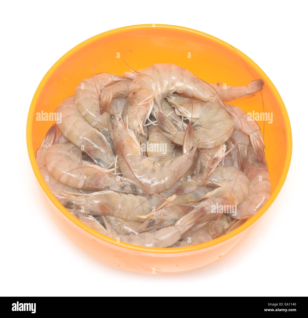 des crevettes crues Banque D'Images