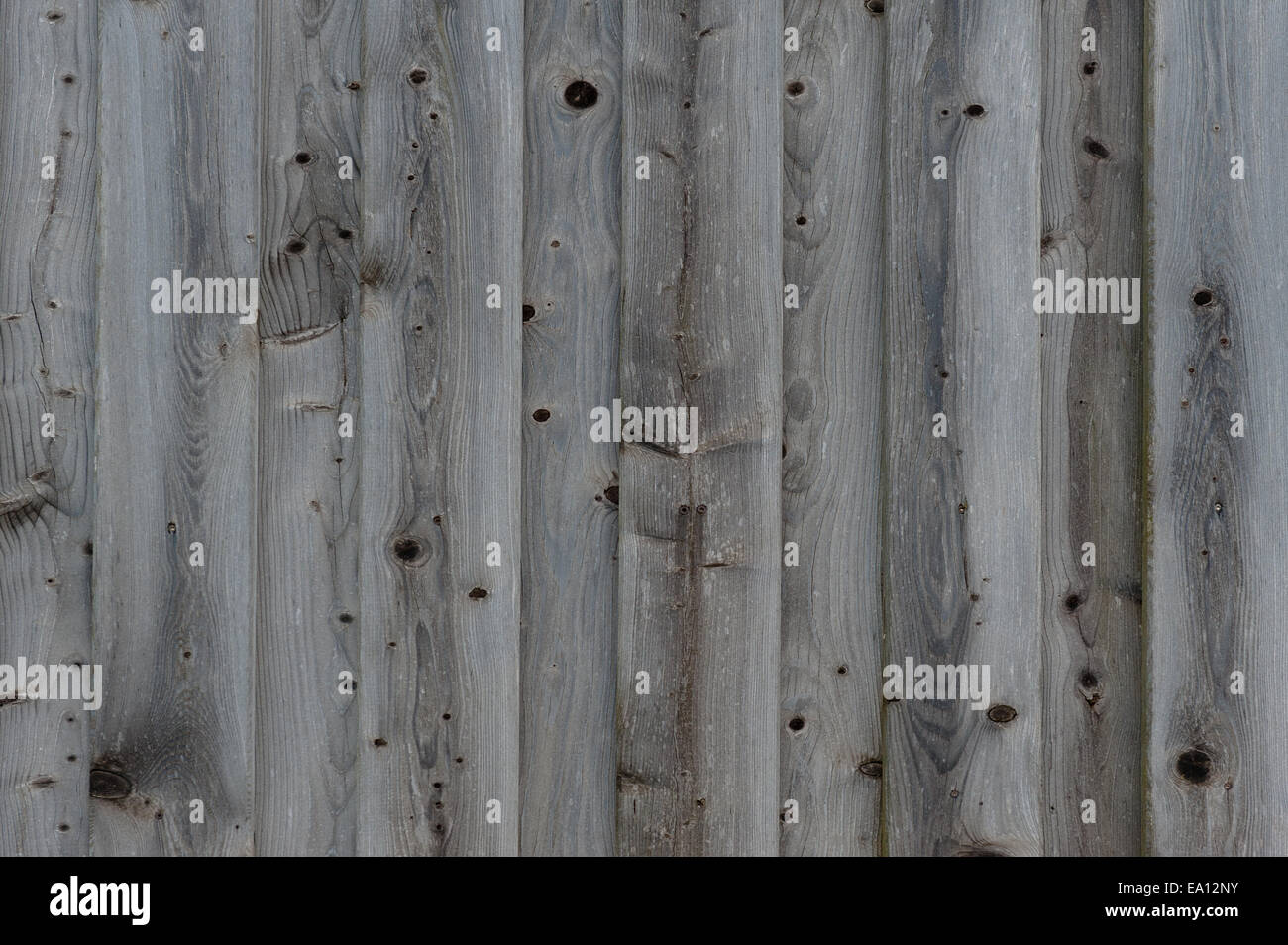 Fond bois Banque D'Images