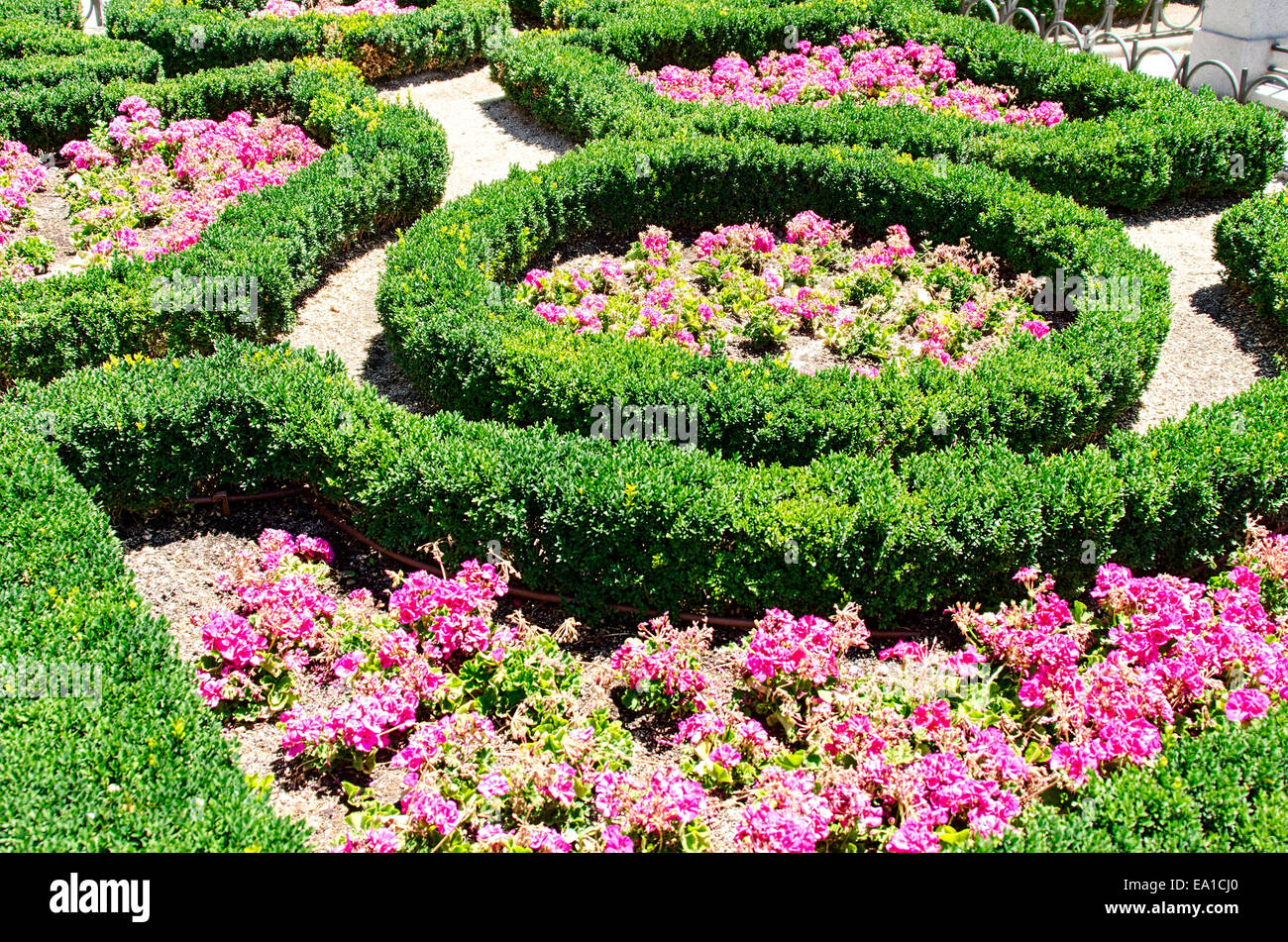 Lit de fleur dans le parc d'été Banque D'Images