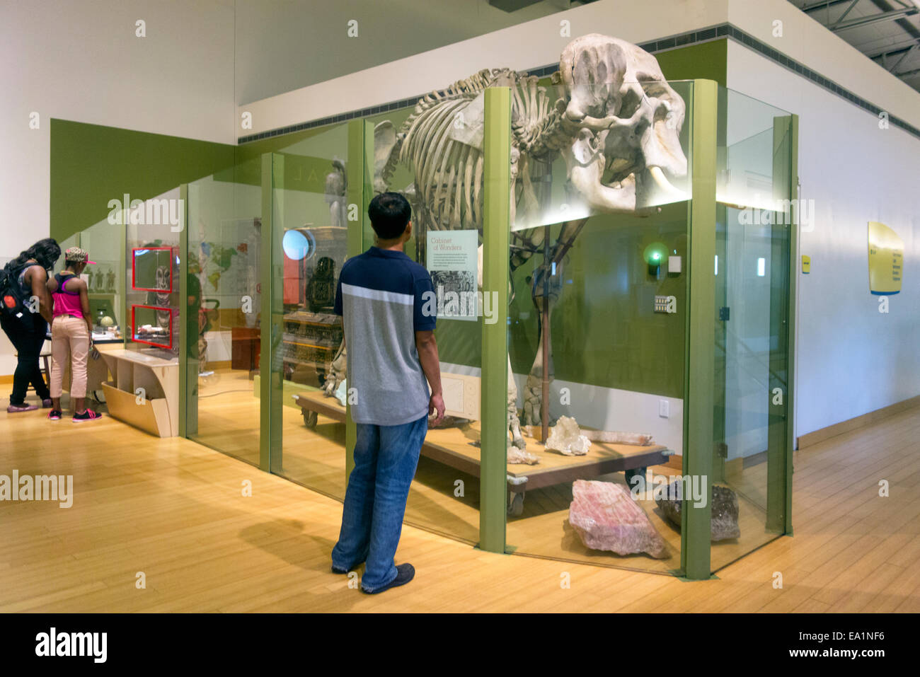 Brooklyn Children's Museum de Crown Heights NYC Banque D'Images