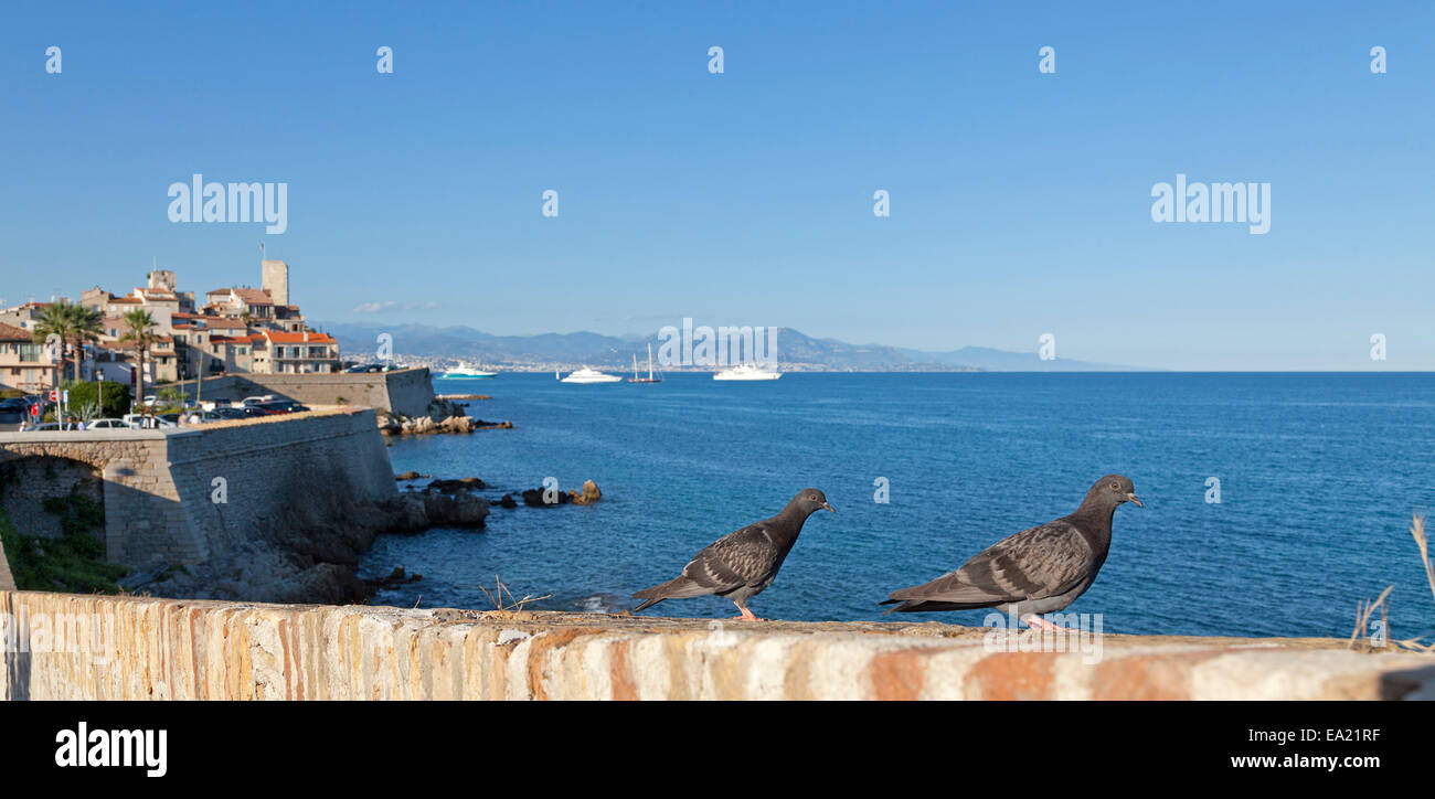 Vieille ville, Antibes, Côte d'Azur, France Banque D'Images