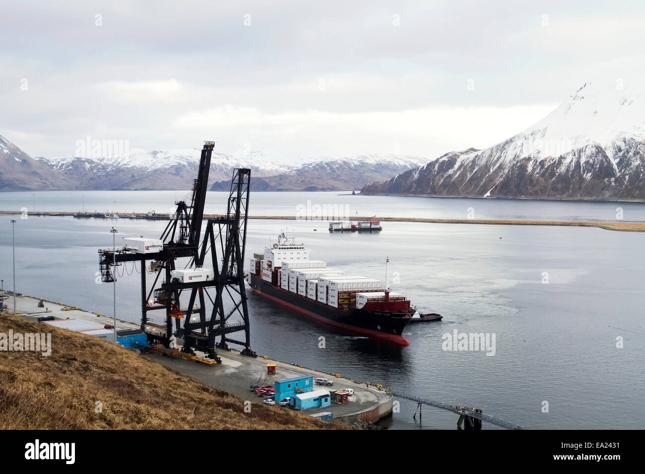 Conteneurs H/L de Tacoma dans la baie d'Unalaska Unalaska, Alaska. Banque D'Images
