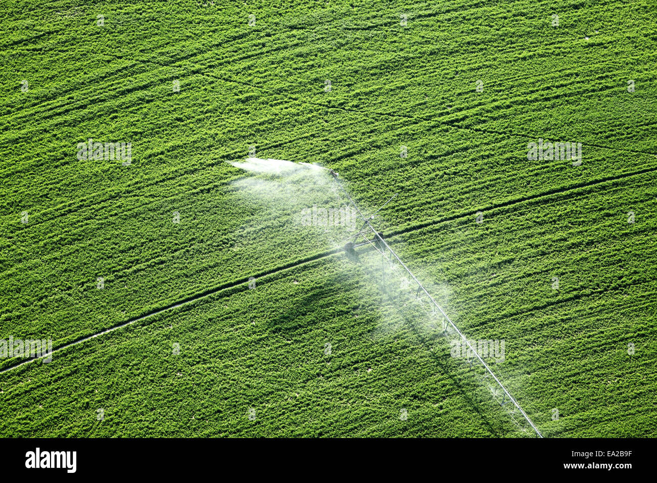 Un bras d'arrosage automatique utilisée pour irriguer le champ de luzerne. Banque D'Images