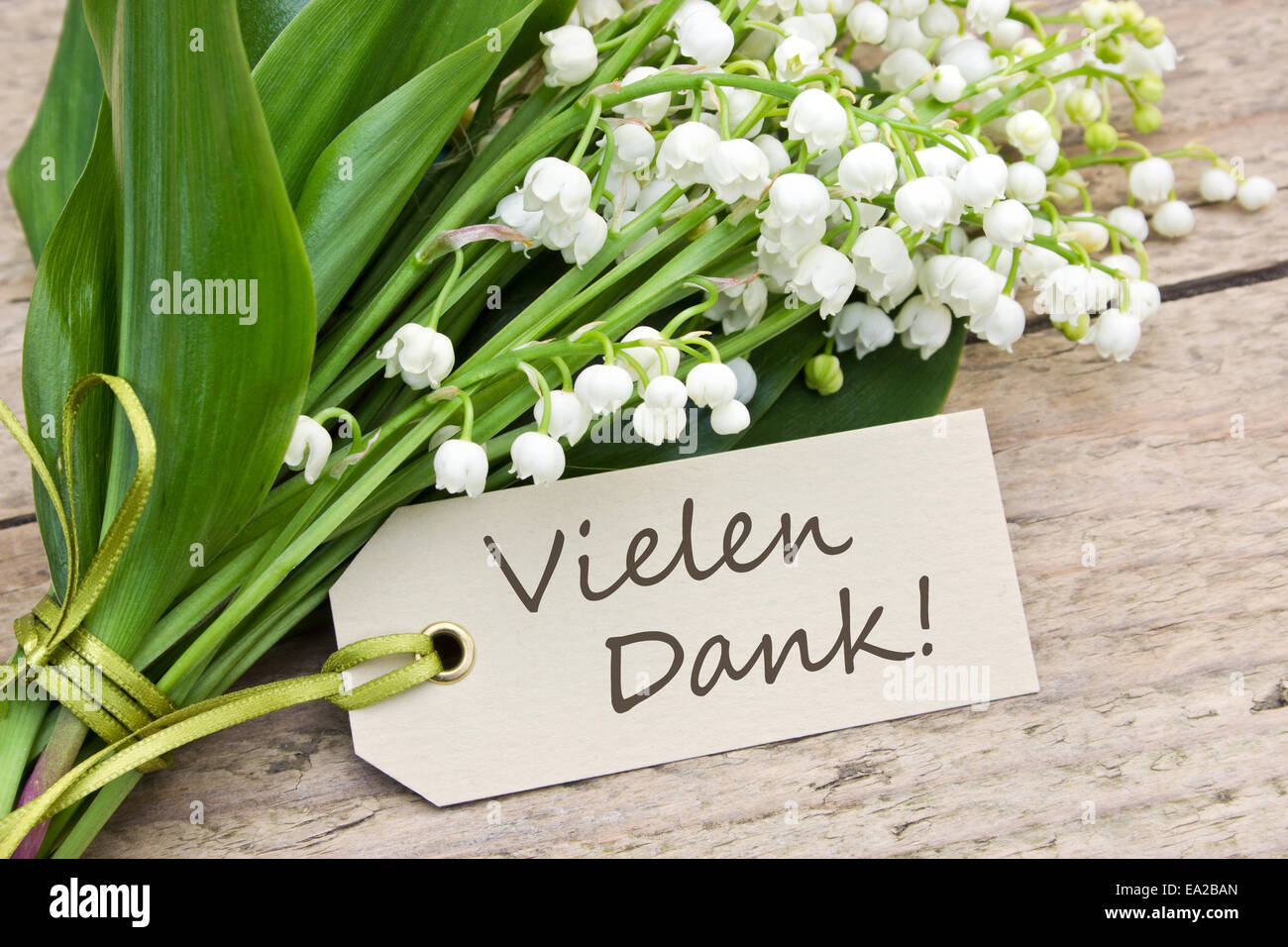 carte de vœux allemande avec lettre merci et Lily de la vallée Banque D'Images