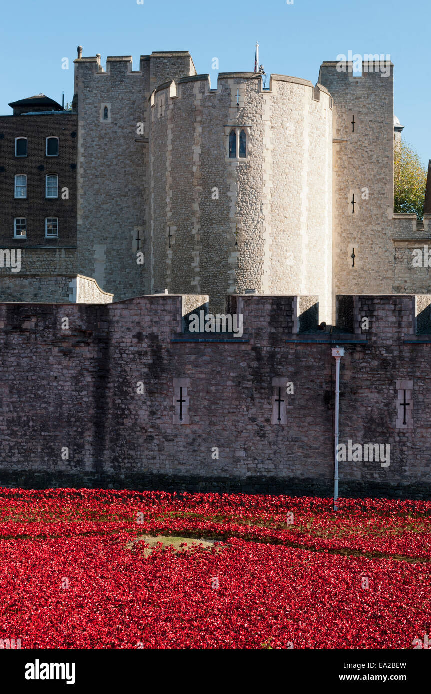 Tour de Londres 2014 exposition art coquelicots Banque D'Images