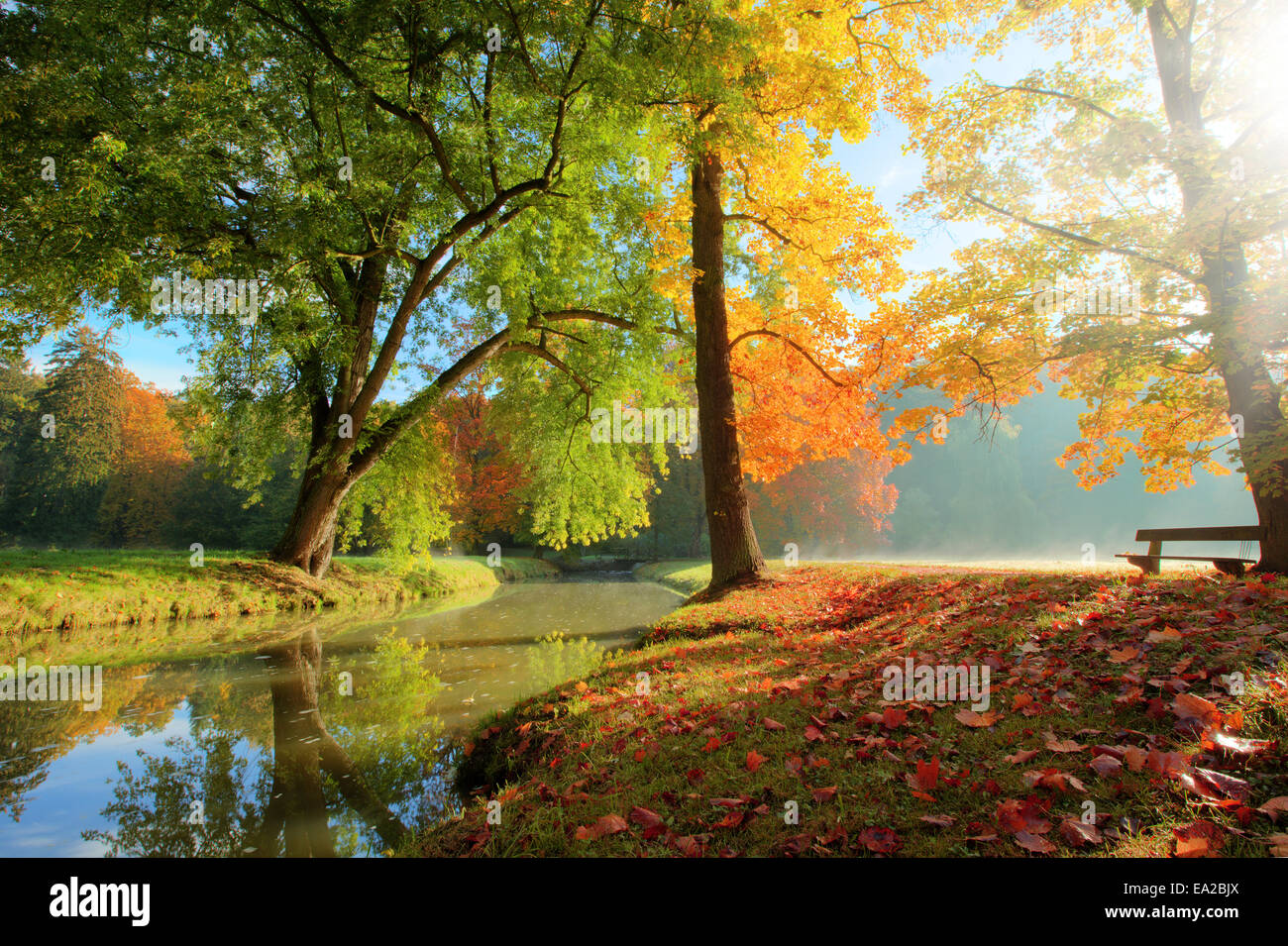 Vue sur le parc en automne Rural belle humeur couleur Banque D'Images