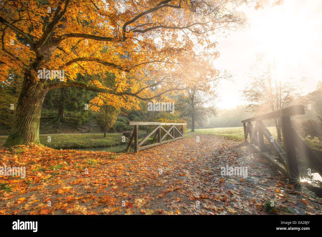 Vue sur le parc en automne Rural belle humeur couleur Banque D'Images