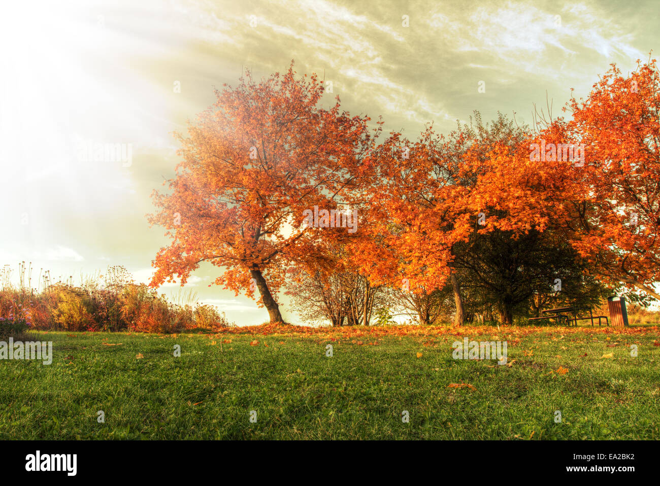 Vue sur le parc en automne Rural belle humeur couleur Banque D'Images
