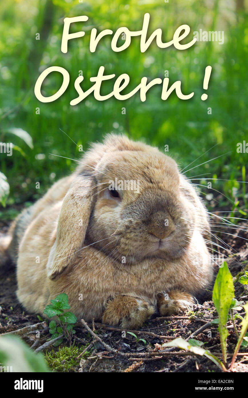 Carte de Pâques avec lapins et texte allemand : joyeuses Pâques Banque D'Images