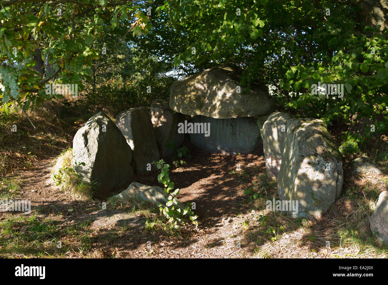 Tombe mégalithique près de Sassnitz, Rügen, 1, l'Allemagne, de l'Europe Banque D'Images