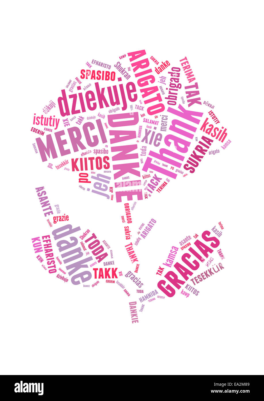 Nuage de mots texte conceptuel avec fleur rose Merci Banque D'Images