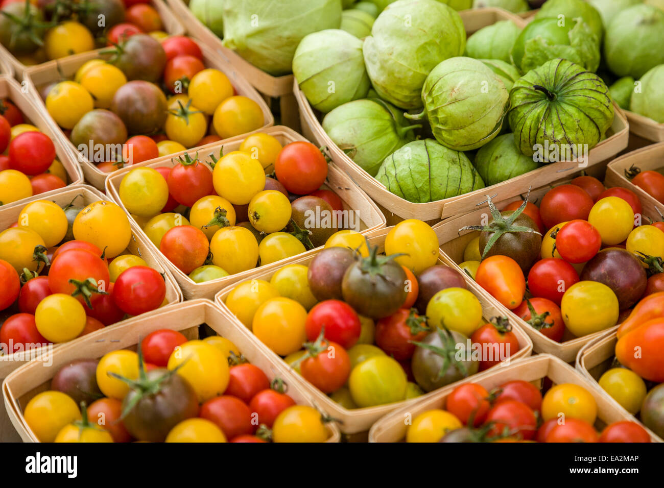 Tomates cerise et mini squash à farmers market. Banque D'Images